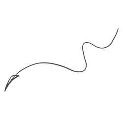Abstract Line Drawing - line - PNG Images
