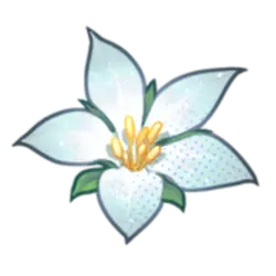 White Flower - flower - High Resolution PNG