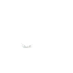 Milk Splash - High Quality PNG