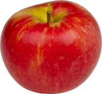 Apple - fresh - No Watermark PNG