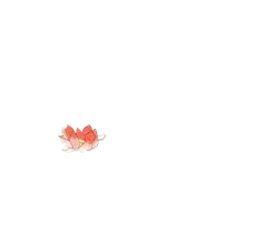 Lotus Flower - flower - Highly Rated PNG