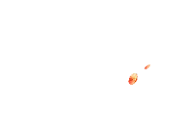 Red Coin - red - PNG Images