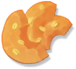 Orange - Transparent Background PNG - Transparent Layer PNG