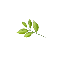 Green Leafy Branch - Free PNG