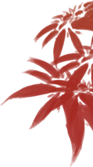 Red Plant - abstract - Transparent Layer PNG