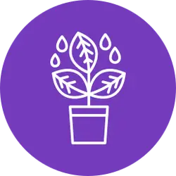 Watering Plant - growth - Free Download PNG