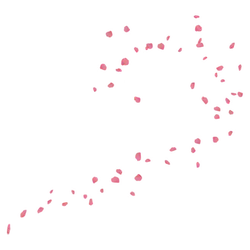 Pink Petals - Recommended PNG - Trending PNG