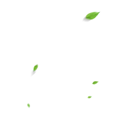 Falling Leaves - fall - falling - PNG Images