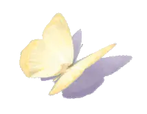 Yellow Butterfly - nature - No Background PNG