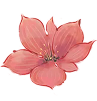 Pink Flower - Designer Recommended PNG - High Quality PNG