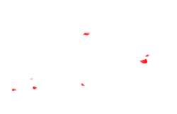 Rose Petals - red - nature - High Resolution PNG