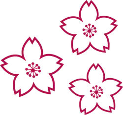 Cherry Blossom - Lossless PNG - flower - Pic 3