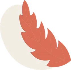 Feather - soft - art - PNG