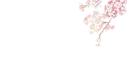 nature - Free PNG - Cherry Blossom - Pic 2