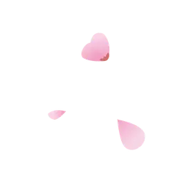 Pink Petals - pink - background - Transparent Background PNG