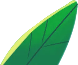 Leaf - nature - plant - Free Download PNG