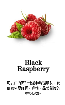 Raspberry - healthy - Designer Recommended PNG