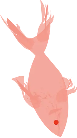 Pink Fish - abstract - Free Download PNG
