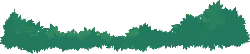 Green Plant - leaves - forest - Free PNG