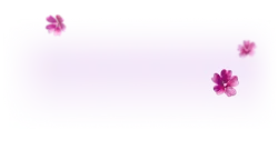 Pink Flowers - nature - No Watermark PNG