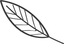 Leaf - leaf - plant - PNG Images