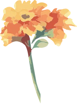 Sunflower - plant - orange - PNG Images