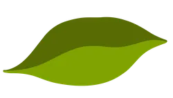 Leaf - environmental protection - nature - Free PNG