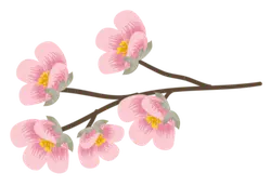 Peach Blossom Branch - flower - pink - High Resolution PNG