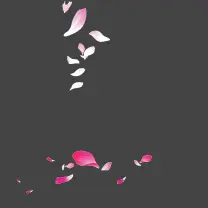 Pink Petals - background - nature - Free PNG