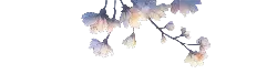 Cherry Blossom - No Background PNG - Transparent Layer PNG