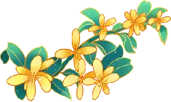 Jasmine - illustration - Lossless PNG