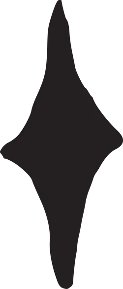 Black Irregular Shape - graphic design - artwork - Transparent Layer PNG