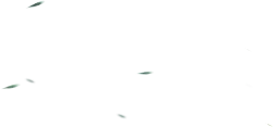 Stars in the Night Sky - night sky - Free for Commercial Use PNG