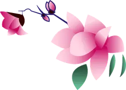 Pink Flower - Curated PNG - illustration