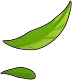 Leaf - Popular Download PNG - High Quality PNG