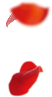 Petals - black - No Background PNG