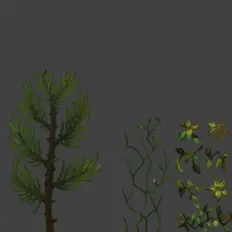 Fern Plant - High Resolution PNG