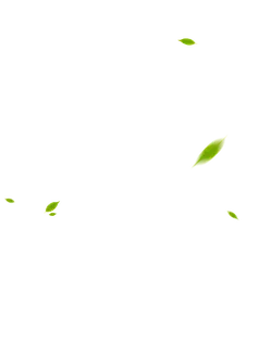 Leaves Falling - autumn - PNG