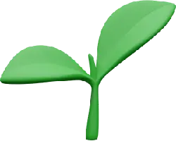 Sprouting Plant - Highly Rated PNG