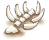 Sea Shell - Transparent Layer PNG