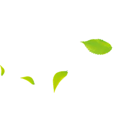 Leaf - nature - background - Lossless PNG