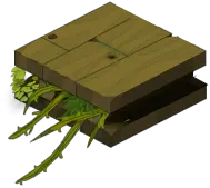 Wood and Plant - growth - High Resolution PNG