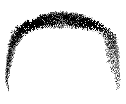 Popular Download PNG - Black Cat - cute - Pic 6
