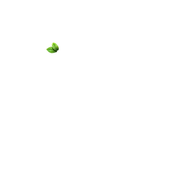 Clover - growth - Highly Rated PNG