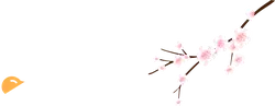 Cherry Blossom Branch - flowers - PNG Images