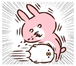 Rabbit and Cat - interaction - High Resolution PNG