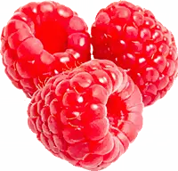 Raspberry - fruit - PNG Images