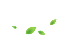 Green Leaves - green - nature - No Watermark PNG