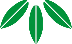 Clover - PNG - Curated PNG