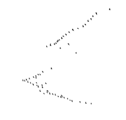 No Watermark PNG - hunting - Black Owl